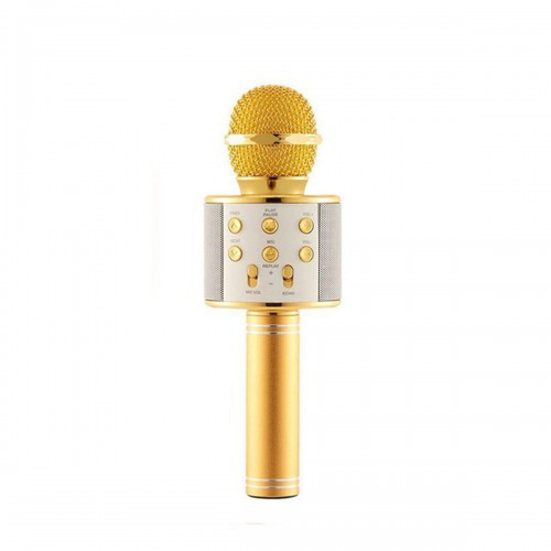 Bluetooth мікрофон-караоке WS-858 GOLD В ЧОХЛІ з динаміком (колонкою), слотом USB, FM тюнером