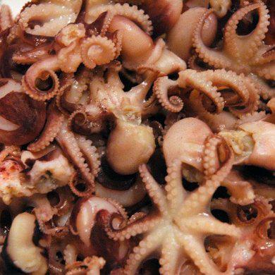 Восьминіжки бебі, розмір 20/40шт/1кг, ціна за 1кг - фото 1 - id-p873050570