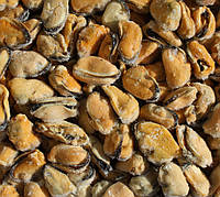 М'ясо мідій чорноморських