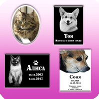 Таблички домашнім тваринам