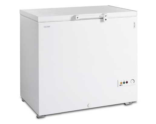 Лар морозильний TEFCOLD FR305-I, фото 1