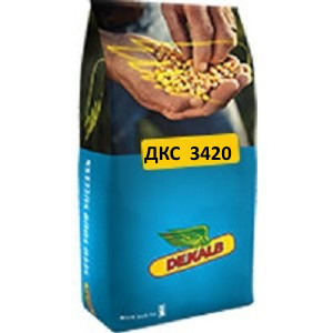 Насіння кукурудзи Монсанто ДКС 3420 (Monsanto DKС 3420) ФАО 280