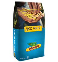 Насіння кукурудзи Монсанто ДКС 4685 (Monsanto DKС 4685) ФАО 340