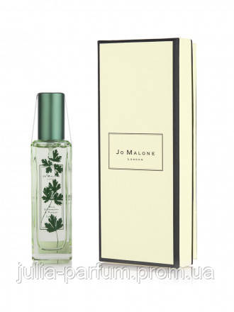 Парфуми унісекс Jo Malone Wild Strawberry & Parsley (Джо малон вилд стравберрі парслій)