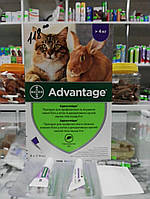 Адвантейдж от 4 кг/Advantage (4 kg) 1 пипетка, Bayer для лечения и профилактики инвазии блох у котов и кролей