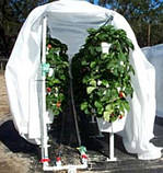 Агроволокно 30 г/м2 у порізанні 1,6х10м, фото 6