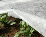 Агроволокно 30 г/м2 у порізанні 1,6х10м, фото 7