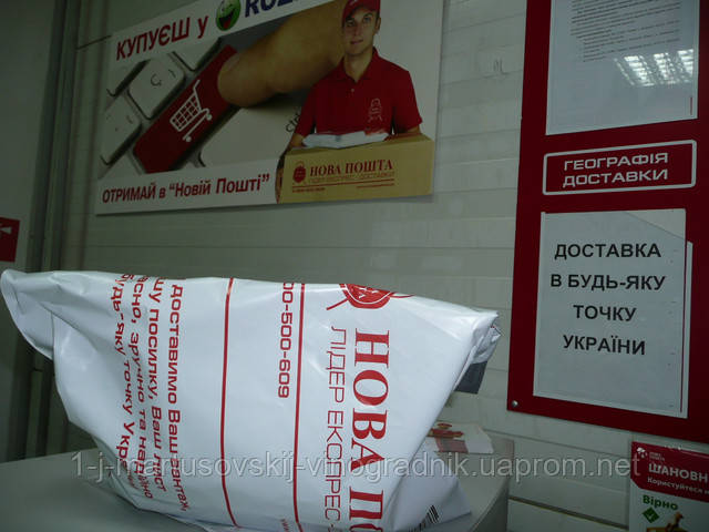 Рассада клубники почтой по Украине