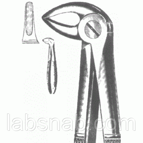 Щ-177 Щипцы с широкими губками для удаления корней зубов нижней челюсти № 33 - фото 1 - id-p78721883