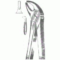 Щ-179 Щипці для видалення молочних різців нижньої щелепи No 38