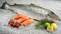 Сьомга тушка с/м 4-5-6кг