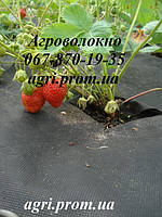 Мульчування суниці