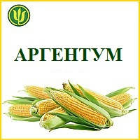 Насіння Кукурудза АРГЕНТУМ ФАО 250, (Маїс Черкаси)