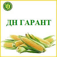 Насіння кукурудзи ДН ГАРАНТ (ФАО 200) 2фр. 2020 р.в. (Маїс Черкаси)