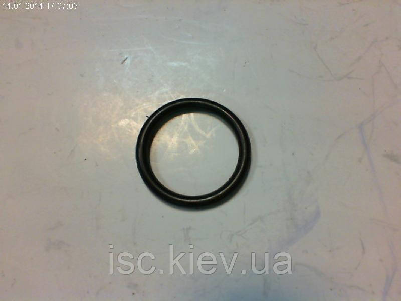 Кольцо уплотнительное Einhell  417336002008, фото 1
