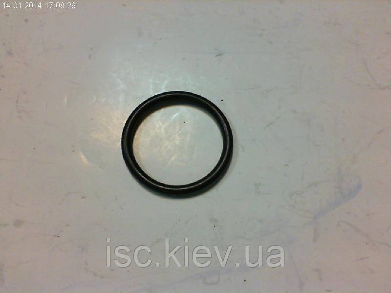 Кольцо уплотнительное Einhell  417336002006, фото 1