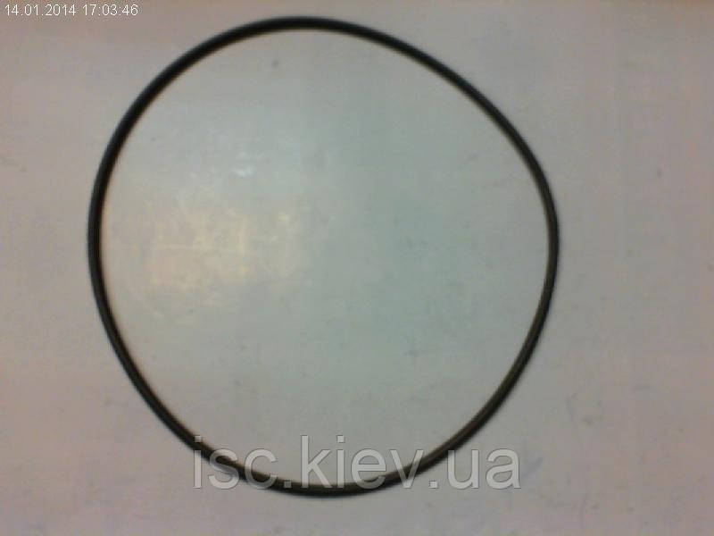 Кольцо уплотнительное Einhell  417336014, фото 1