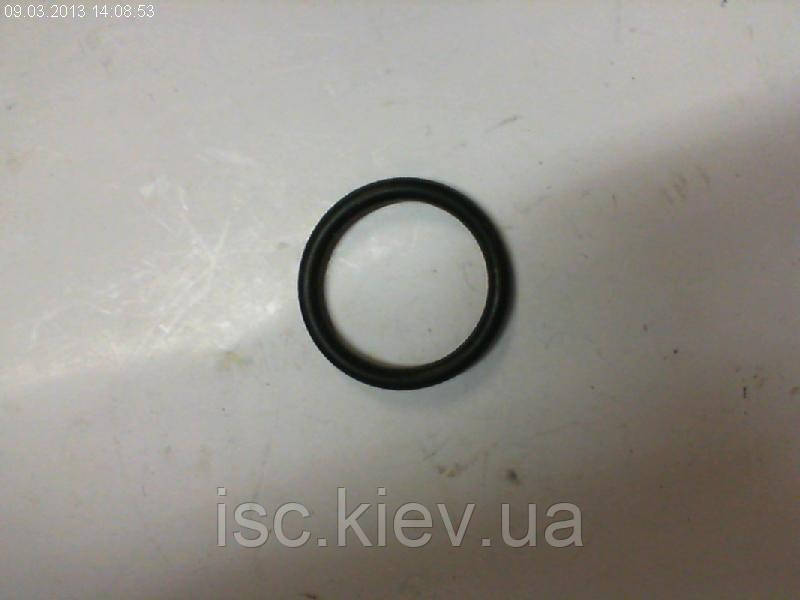 Кольцо уплотнительное Einhell HW810 417312002008, фото 1