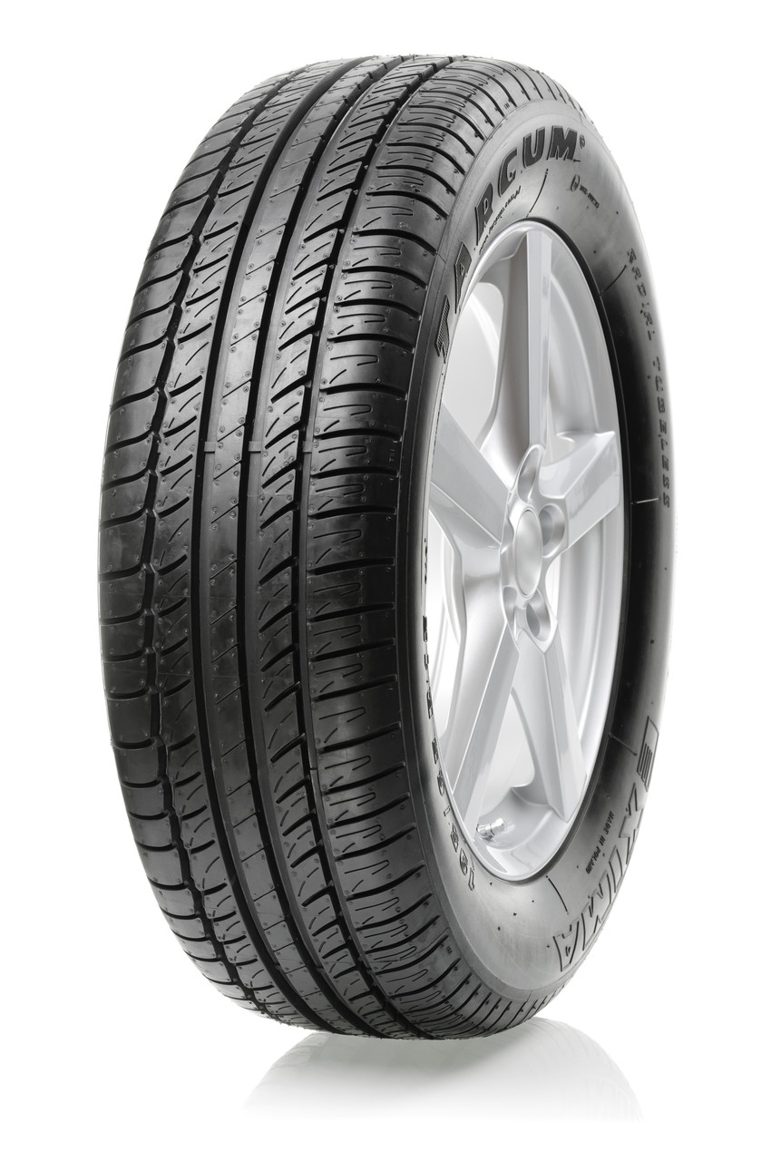 Шини 195/65 R15 Targum EXIMA