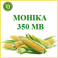 Насіння Кукурудзи МОНІКА 350 МВ" (ФАО 350), 2020р.у. (Маїс Черкаси)