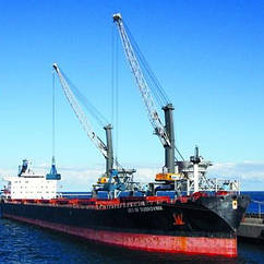 Портальний поворотний кран Liebherr LPS 600 Німеччина