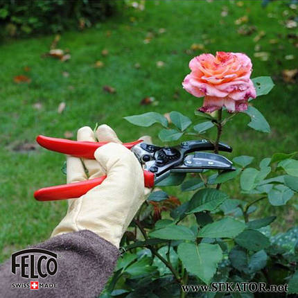 Секатор для троянд Felco / Фелко 100 (Швейцарія), фото 2