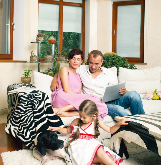 автоматические роллеты