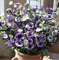 Ромашка кольорова з фоамрану 60 см