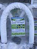 Парник "Агро-Лідер" 12 м. 42 пл., фото 3
