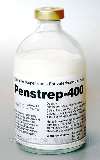 Пенстреп-400 100мл Interchemie