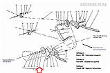 Зірочка z-13 Натягувача Ланцюга [Sipma] 2010-130-012.01 | 5223000160 (2240600900), фото 3