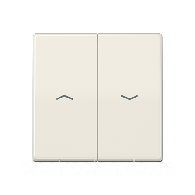Клавіша з символами AS591-5P