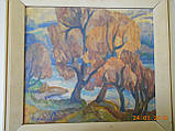 Картина "Осінній пейзаж" закарпатського художника Ст. Ст. Микити 1968 р., фото 5