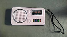 Портативна колонка WS-260, фото 2
