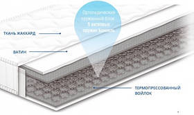 ЧЕМПІОН 1 - ортопедичний матрац СОНЛАЙН