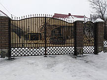 Ворота кованые Іра, Іра плюс ( Ира), фото 6
