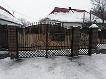 Ворота кованые Іра, Іра плюс ( Ира), фото 5