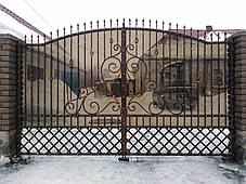 Ворота кованые Іра, Іра плюс ( Ира), фото 3