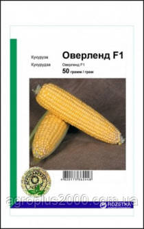 Насіння Кукурудза цукрове Оверленд F1, 50 грамів Syngenta Агропак, фото 1