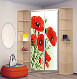 Шафа купе кутовою, фото 2