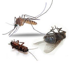 Засоби від мух і молі і комарів