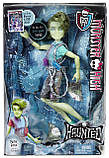 Лялька Monster High Портер Гейс — Haunted Student Spirits Porter Geiss, фото 7