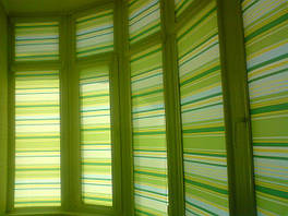 Рулонні штори з малюнком