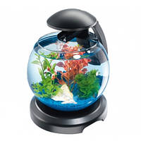Tetra Cascade Globe аквариум для петушка или золотой рыбки, 6,8 л