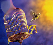 Ми повинні навчитися жити без ліків.