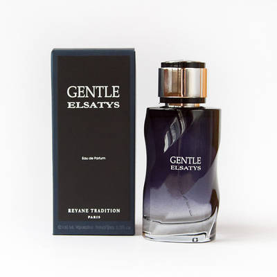 Чоловіча парфумована нішева вода Reyane Tradition Gentle Elsatys 100ml оригінал, фужерний аромат