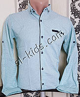Стильная рубашка для мальчика 152-176 см(опт) (бирюза) (пр. Турция)