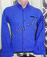 Стильная рубашка для мальчика 152-176 см(опт) (ярко синяя) (пр. Турция)