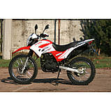 Мотоцикл Skybike STATUS-200 куб., фото 3