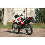 Мотоцикл Skybike STATUS-200 куб., фото 4